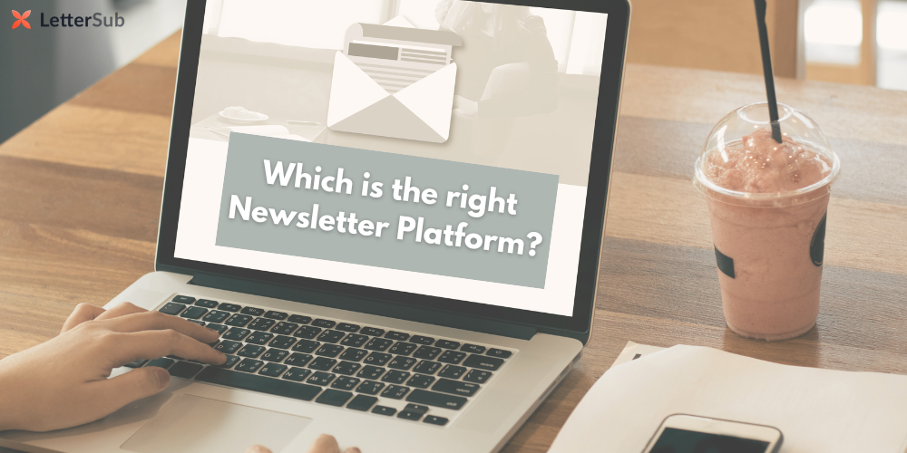 Best Newsletter Platforms to Grow Your Audience and Business: The Ultimate Guide